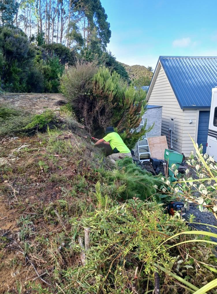 Worker clearing overgrown garden growth on a property bank